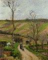 route du fond in hermitage pontoise 1877 Camille Pissarro